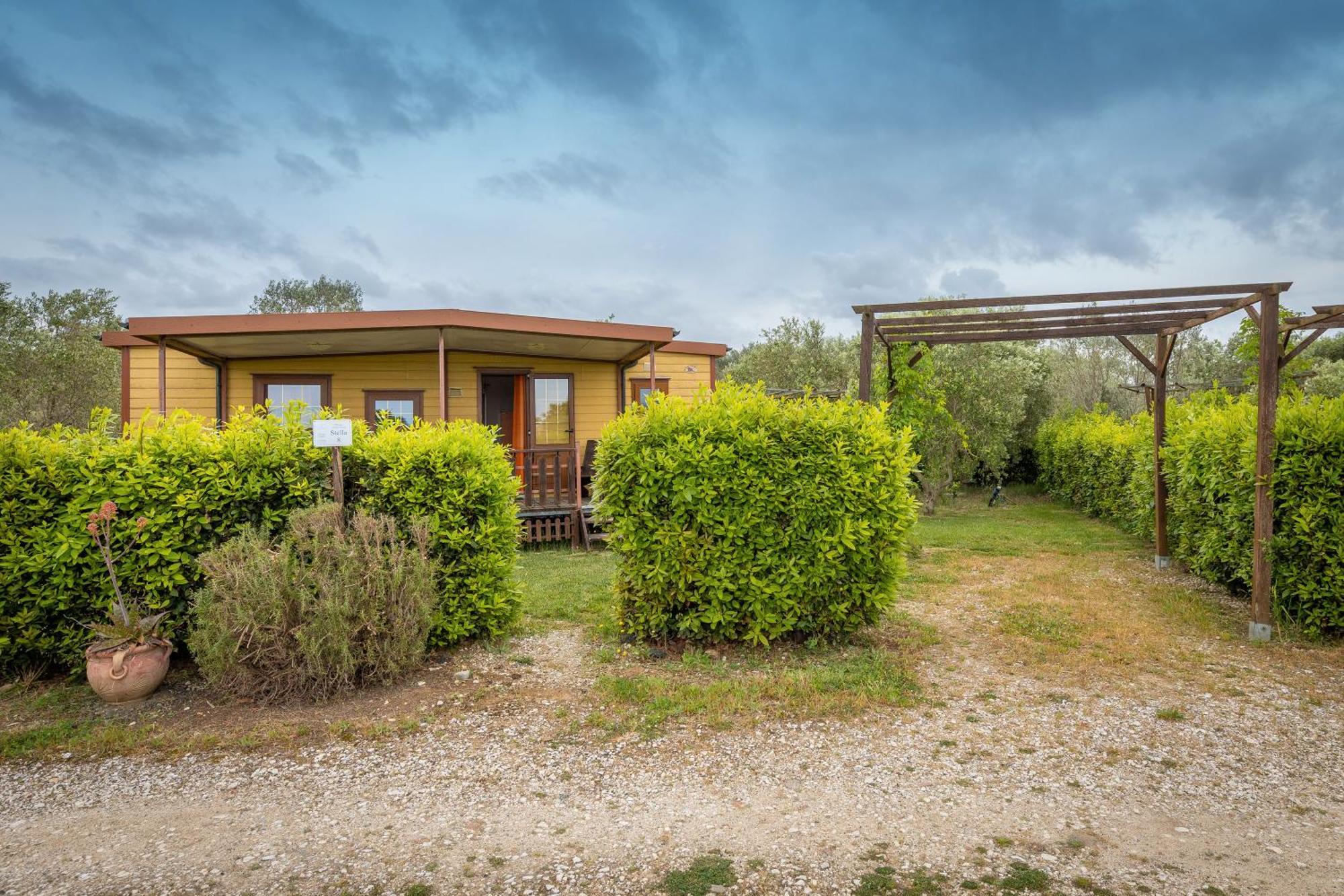 Agriturismo Nonna Stella Бибона Екстериор снимка